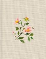 ESV Single Column Journaling Bible