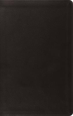 ESV Value Thinline Bible, Red Letter - cover