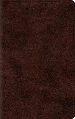 ESV Thinline Bible, Red Letter - cover