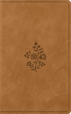 ESV Vest Pocket New Testament with Psalms and Proverbs, Red Letter - cover