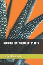 Growing Best Succulent Plants