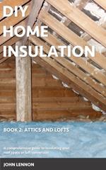 DIY Home Insulation: Book 2: Attics and Lofts: A comprehensive guide to insulating your roof space or loft conversion