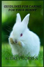 Guidelines for caring for your bunny