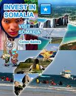 INVEST IN SOMALIA - Visit Somalia - Celso Salles: Invest in Africa Collection