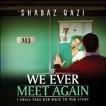If We Ever Meet Again