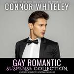 Gay Romantic Suspense Collection