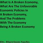 What Is A Broken Economy, What Are The Unfavorable Economic Policies In A Broken Economy, And The Problems With The Economy Being A Broken Economy