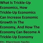 What Is Trickle-Up Economics, How Trickle-Up Economics Can Increase Economic Growth In The Economy, And How The Economy Can Become A Trickle-Up Economy
