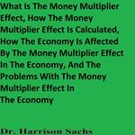 What Is The Money Multiplier Effect, How The Money Multiplier Effect Is Calculated, How The Economy Is Affected By The Money Multiplier Effect In The Economy, And The Problems With The Money Multiplier Effect In The Economy