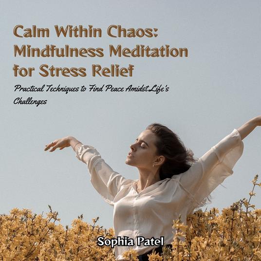 Calm Within Chaos: Mindfulness Meditation for Stress Relief