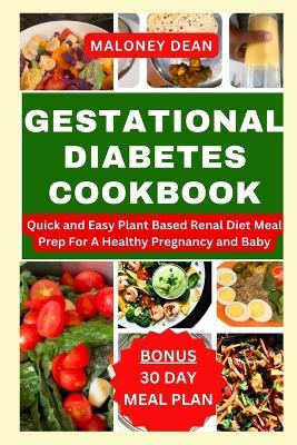 Gestational Diabetes Cookbook: Quick and Easy Plant Based Renal Diet Meal Prep For A Healthy Pregnancy and Baby - Maloney Dean - cover