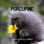 Porcupine: Picture book for children