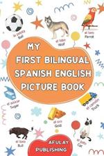 My first bilingual Spanish English picture book: 500 illustrated words in Spanish (Spain) - A visual dictionary with words on everyday themes - Learn Spanish for kids and beginner adults
