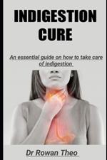 Indigestion Cure: An essential guide on how to take care of indigestion