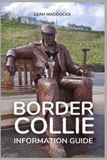 Border Collie Information Guide