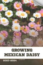 Growing Mexican Daisy: Become flowers expert