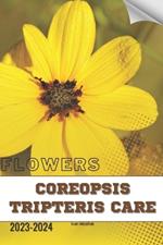Coreopsis Tripteris Care: Become flowers expert