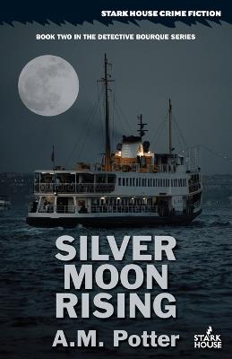 Silver Moon Rising - A M Potter - cover