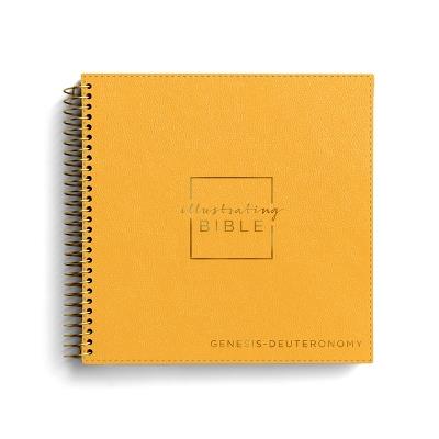 NIV Illustrating Bible, Genesis - Deuteronomy - Dayspring - cover