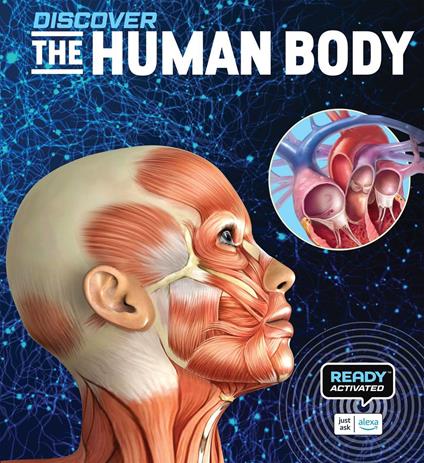 Discover: The Human Body (Ready Activated: A Readyland Alexa Interactive Book) - Linda Calabresi - ebook