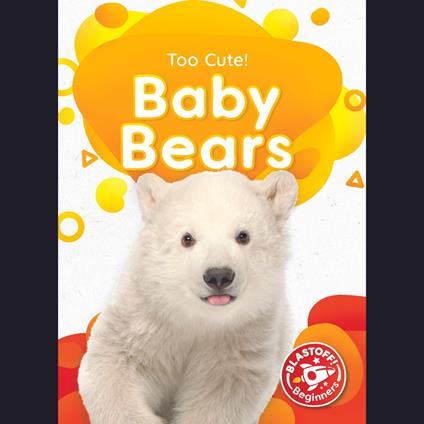 Baby Bears