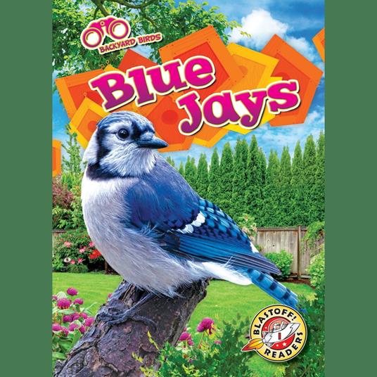 Blue Jays