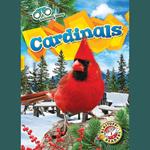 Cardinals