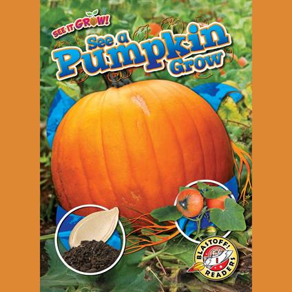 See a Pumpkin Grow
