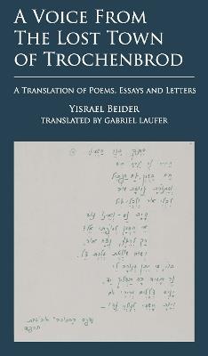 A Voice from The Lost Town of Trochenbrod: A Translation of Poems, Essays and Letters by Yisrael Beider - Yisrael Beider - cover