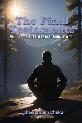 The Final Testaments Vol. 11: Stark Realities of Spiritual Rebirth - Uche Ephraim Chuku - cover