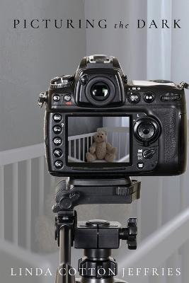 Picturing the Dark - Linda Cotton Jeffries - cover