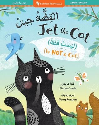Jet the Cat (Is Not a Cat) (Bilingual Arabic & English) - Phaea Crede - cover