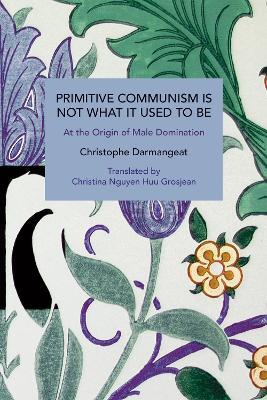 Primitive Communism Is Not What It Used to Be - Christophe Darmangeat - cover