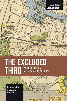 The Excluded Third - Fernando Haddad - cover