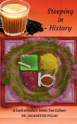 Steeping in History - Jagadeesh Pillai - cover