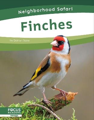 Finches - Dalton Rains - cover