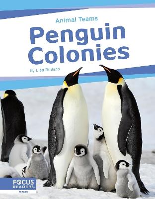 Penguin Colonies - Lisa Bullard - cover
