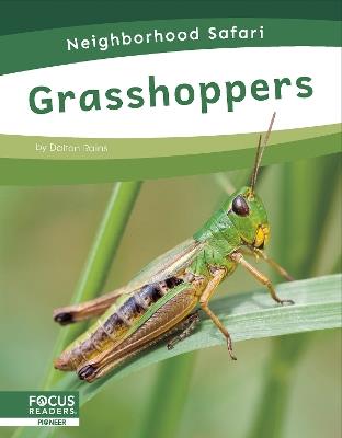 Grasshoppers - Dalton Rains - cover