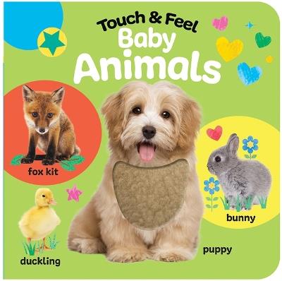 Touch & Feel Baby Animals - Rose Nestling - cover