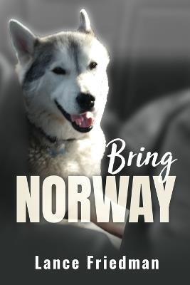 Bring Norway - Lance Friedman - cover