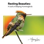 Resting Beauties: A Look at Sleeping Hummingbirds