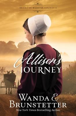 Allison's Journey: Volume 4 - Wanda E Brunstetter - cover