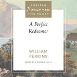 A Perfect Redeemer