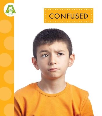 Confused - Rachel Bach - cover