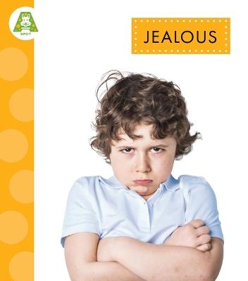 Jealous - Rachel Bach - cover