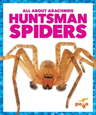 Huntsman Spiders - Jenna Lee Gleisner - cover