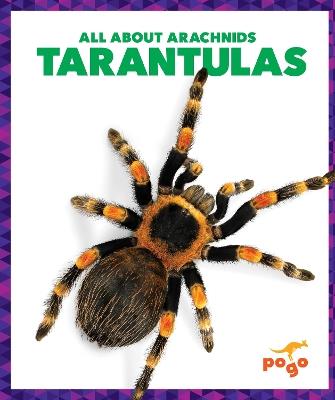 Tarantulas - Becca Becker - cover