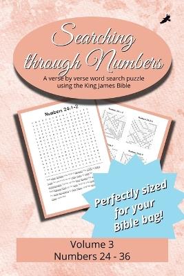 Searching Through Numbers: Chapters 24-36 - cover