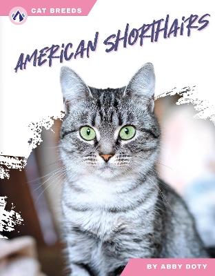American Shorthairs - Abby Doty - cover