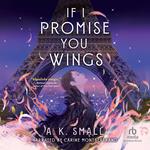 If I Promise You Wings